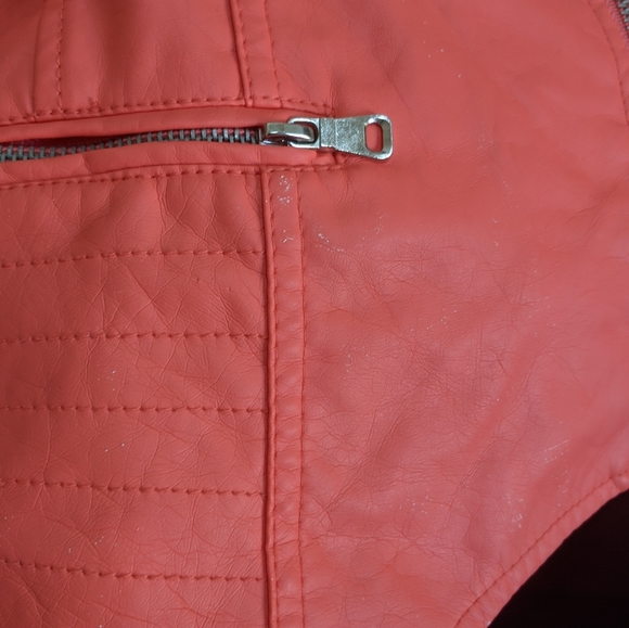 Coral jacket - Picture 3 of 10